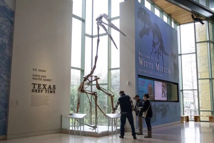 Visitors take a look a the Texas Deep Time exhibition at The Witte Museum