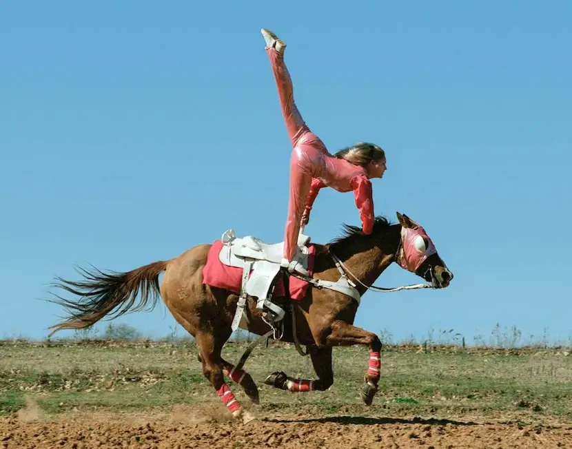 A trick rider stands on the saddle in this photograph by Laura Wilson.