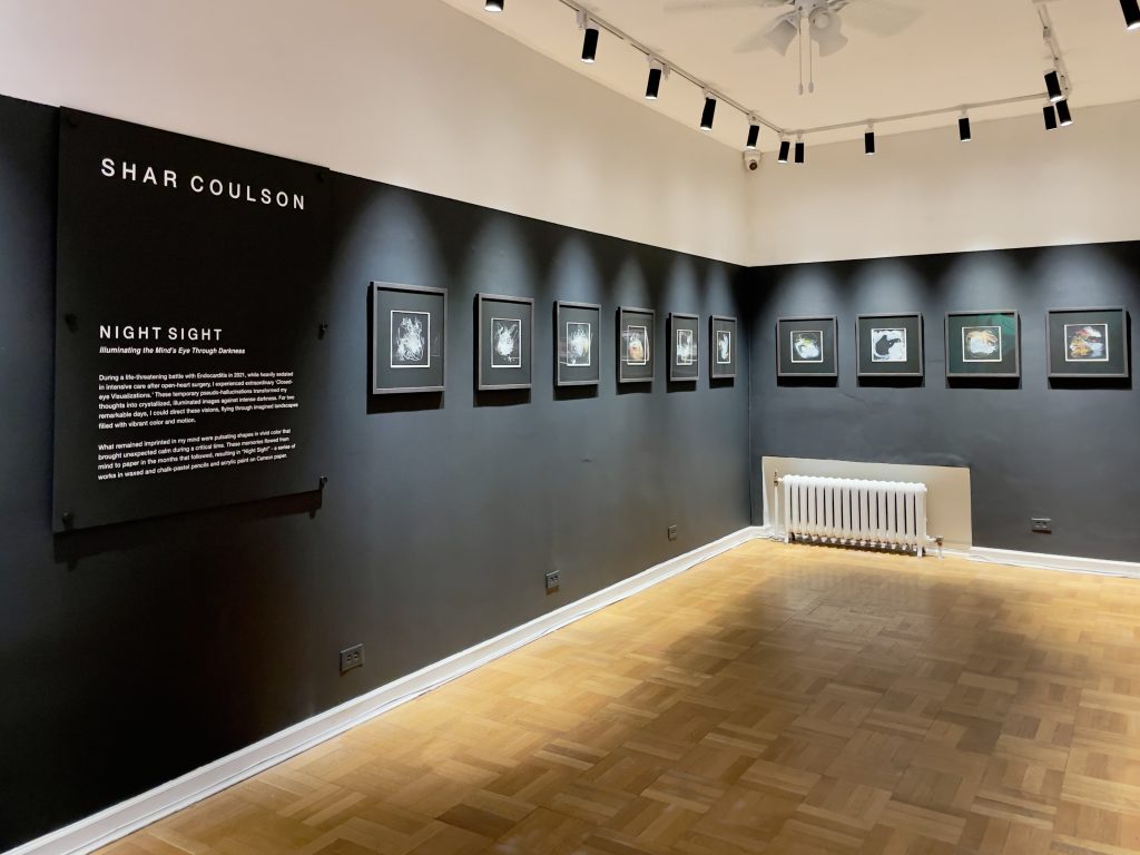 Review: Shar Coulson’s “Night Sight” at the Museum of Surgical Science