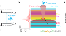 Electro-optic cavities for in-situ measurement of cavity fields