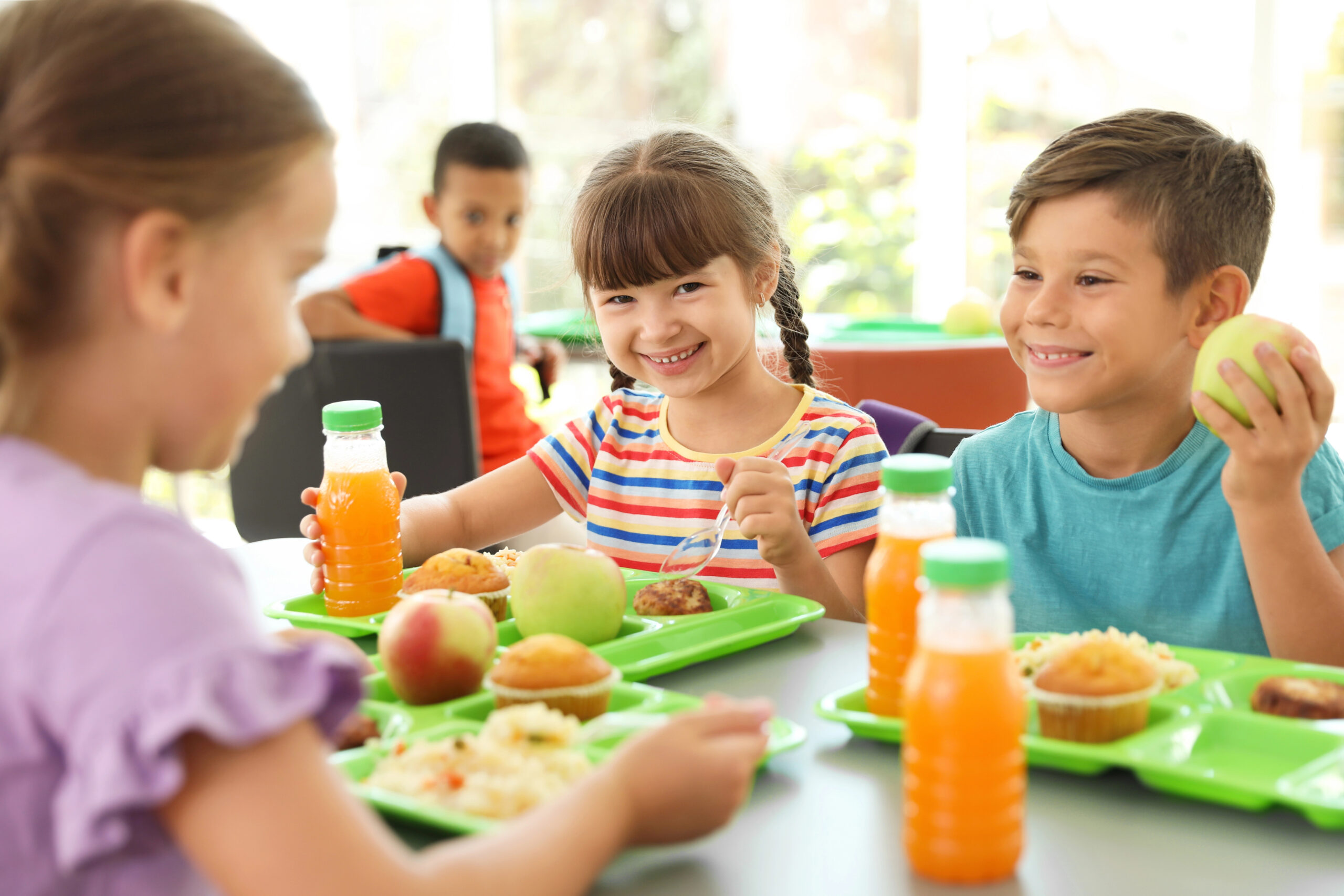 Idaho schools get $300K for nutrition tech upgrades