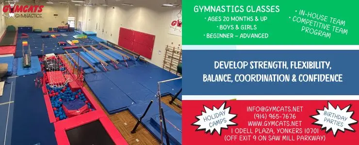 Gym Cats - gymnastics in Westchester County