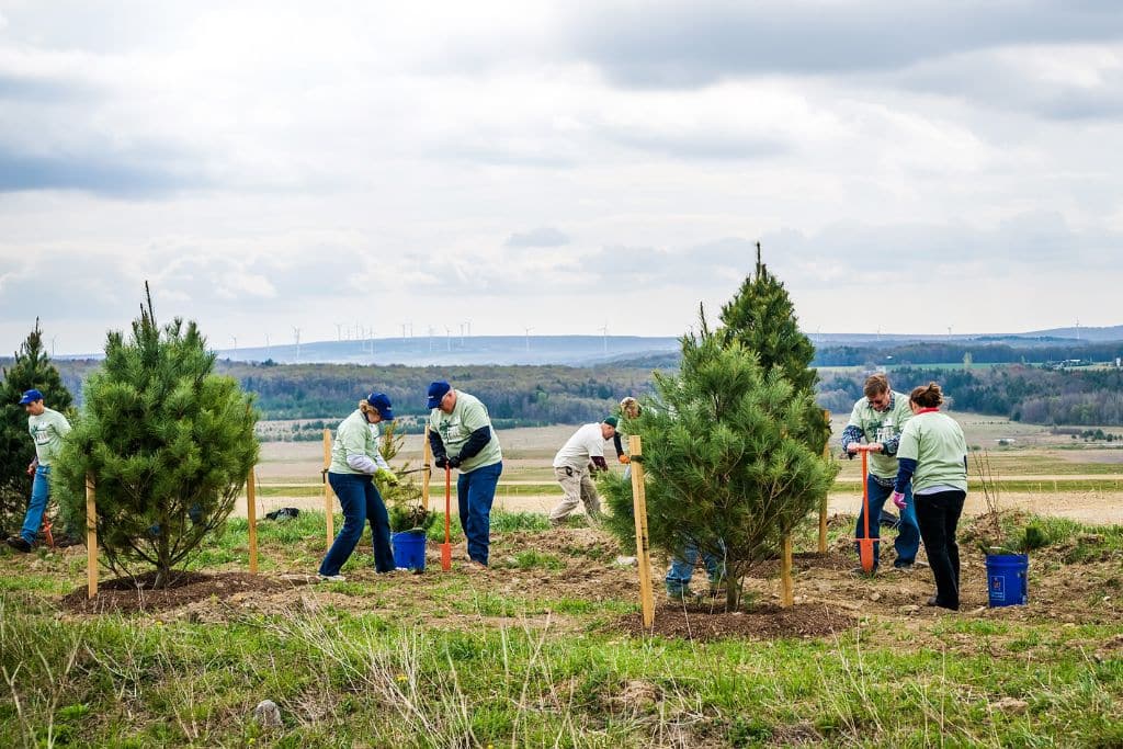 Local Land Conservation Provides Glimmer of Hope in Trump Era