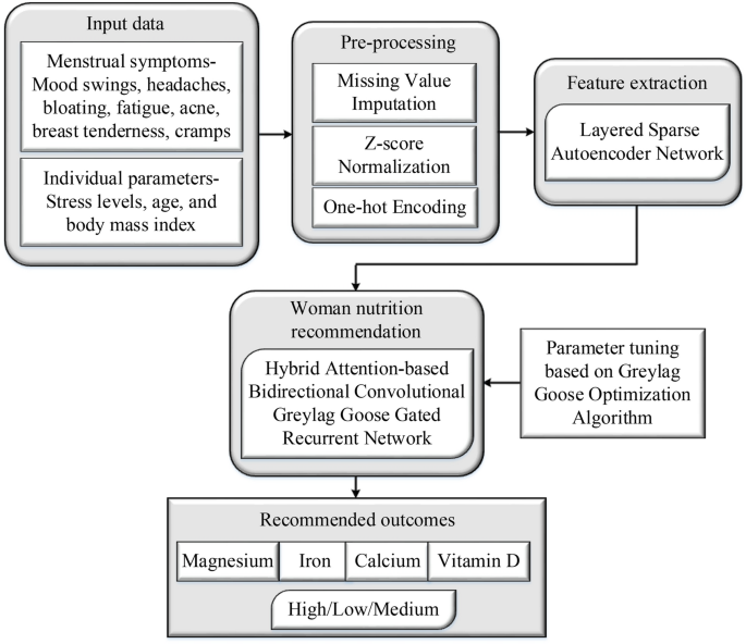 Hybrid Greylag Goose deep learning with layered sparse network for women nutrition recommendation during menstrual cycle