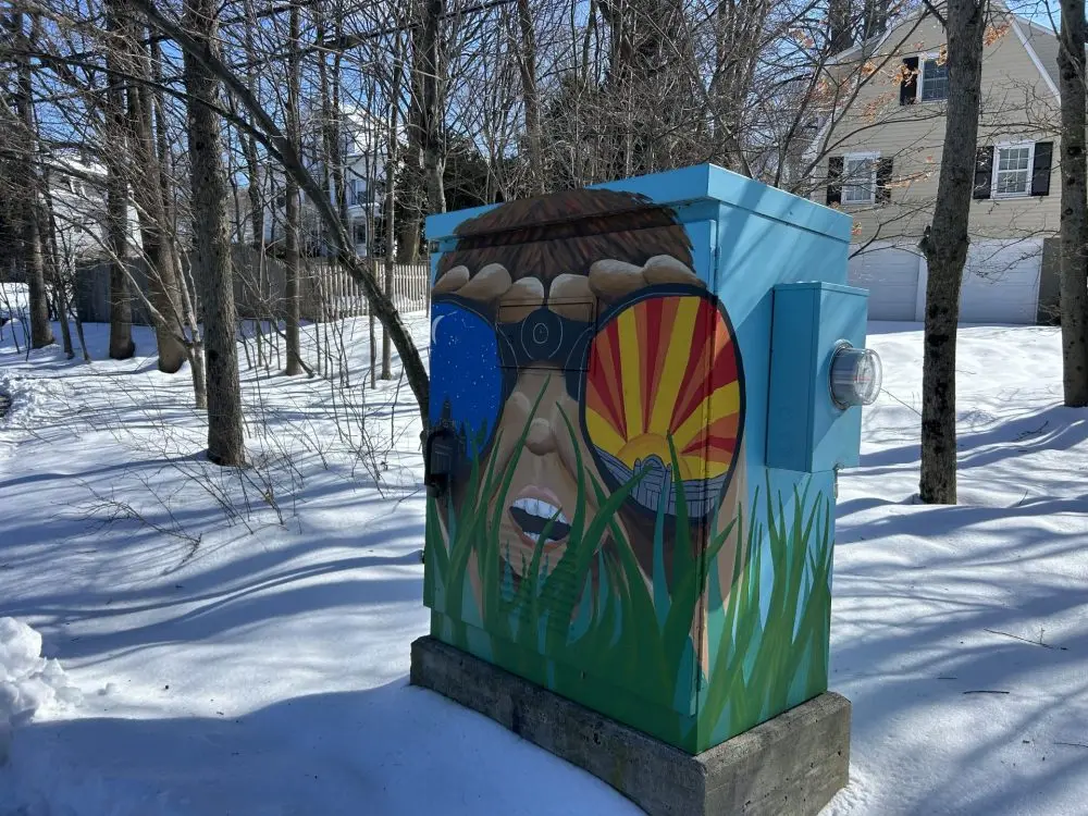 electrical box painting