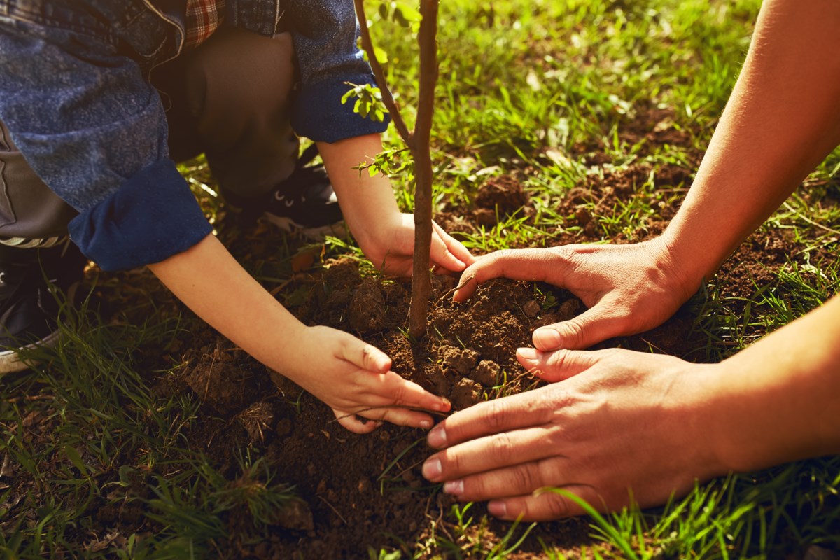 Local environment and conservation groups sending survey to election candidates