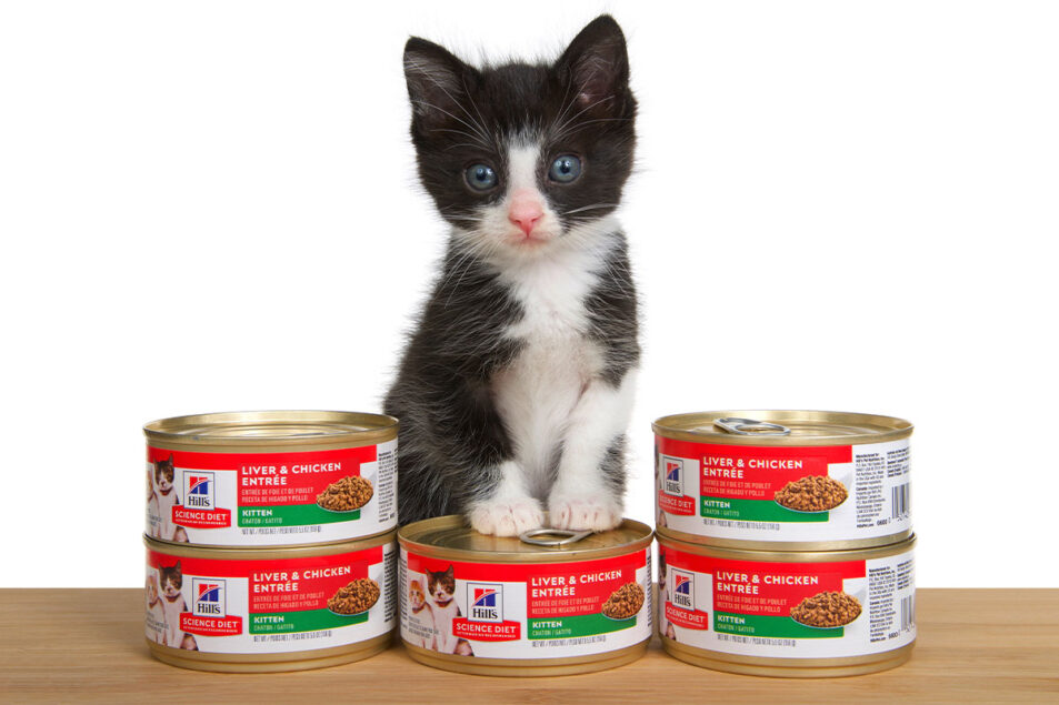 Hill’s Pet Nutrition enters fresh pet food category through acquisition