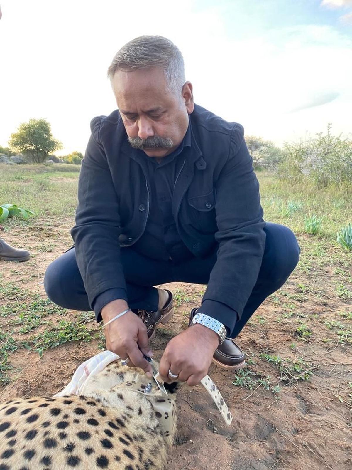 Conservation strategist Dr. Amit Mallick on his lifelong connection with Nature