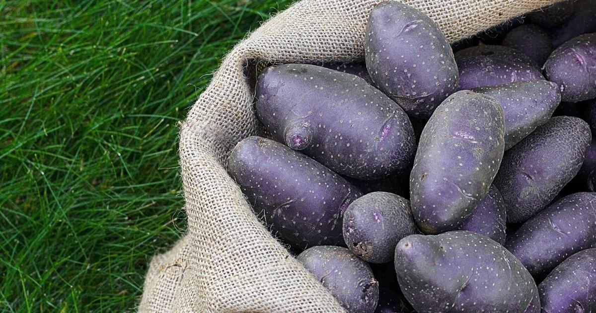 Purple potatoes are a colorful way to love healthy eating