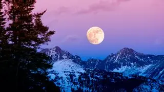 A photo of the full 'Cold Moon' rising over a winter landscape