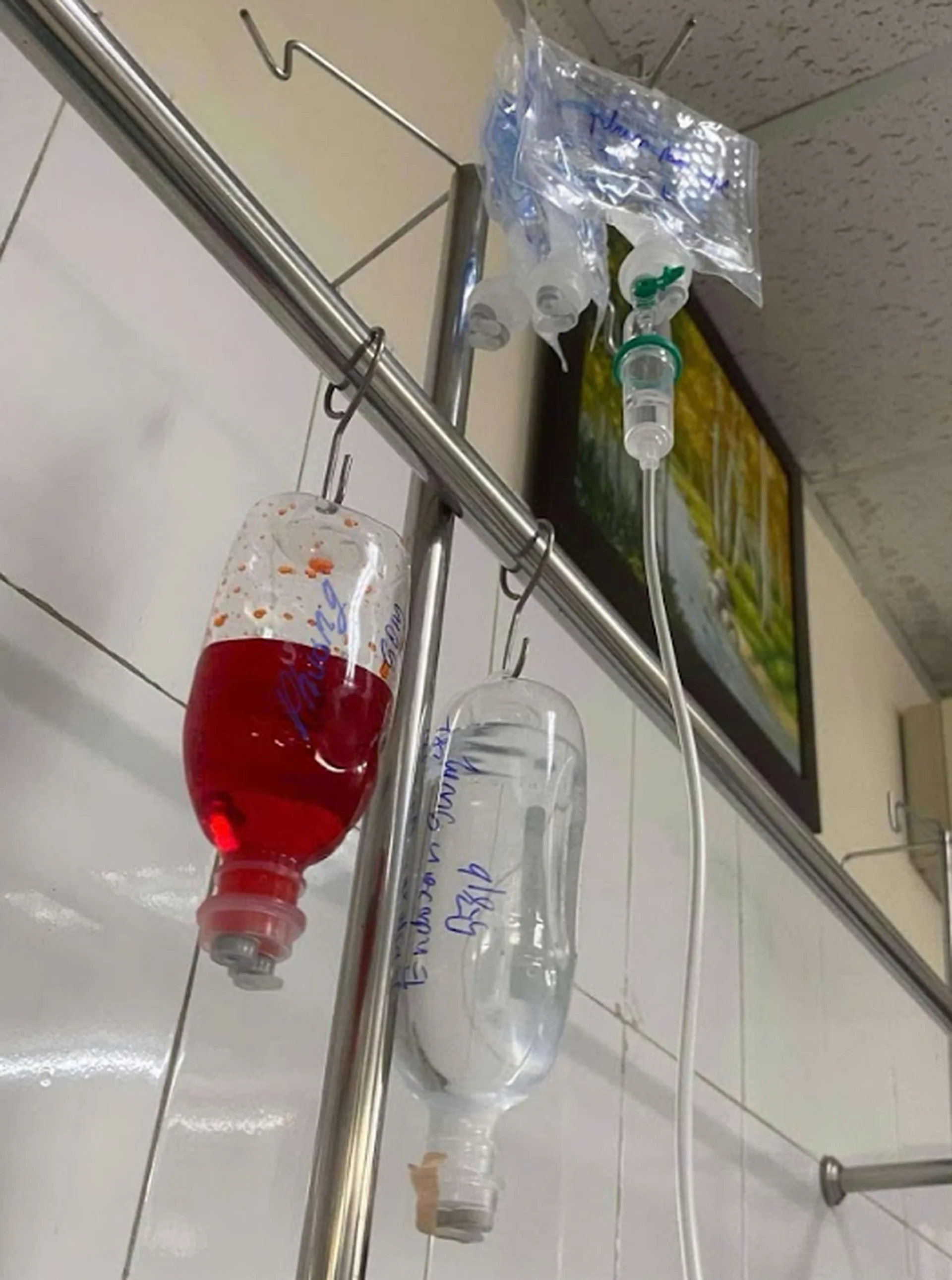 10 lần nghĩ quẩn và 4 năm thoát khỏi bóng tối của nữ bác sĩ mắc ung thư - 2 10 lần nghĩ quẩn và 4 năm thoát khỏi bóng tối của nữ bác sĩ mắc ung thư - 2