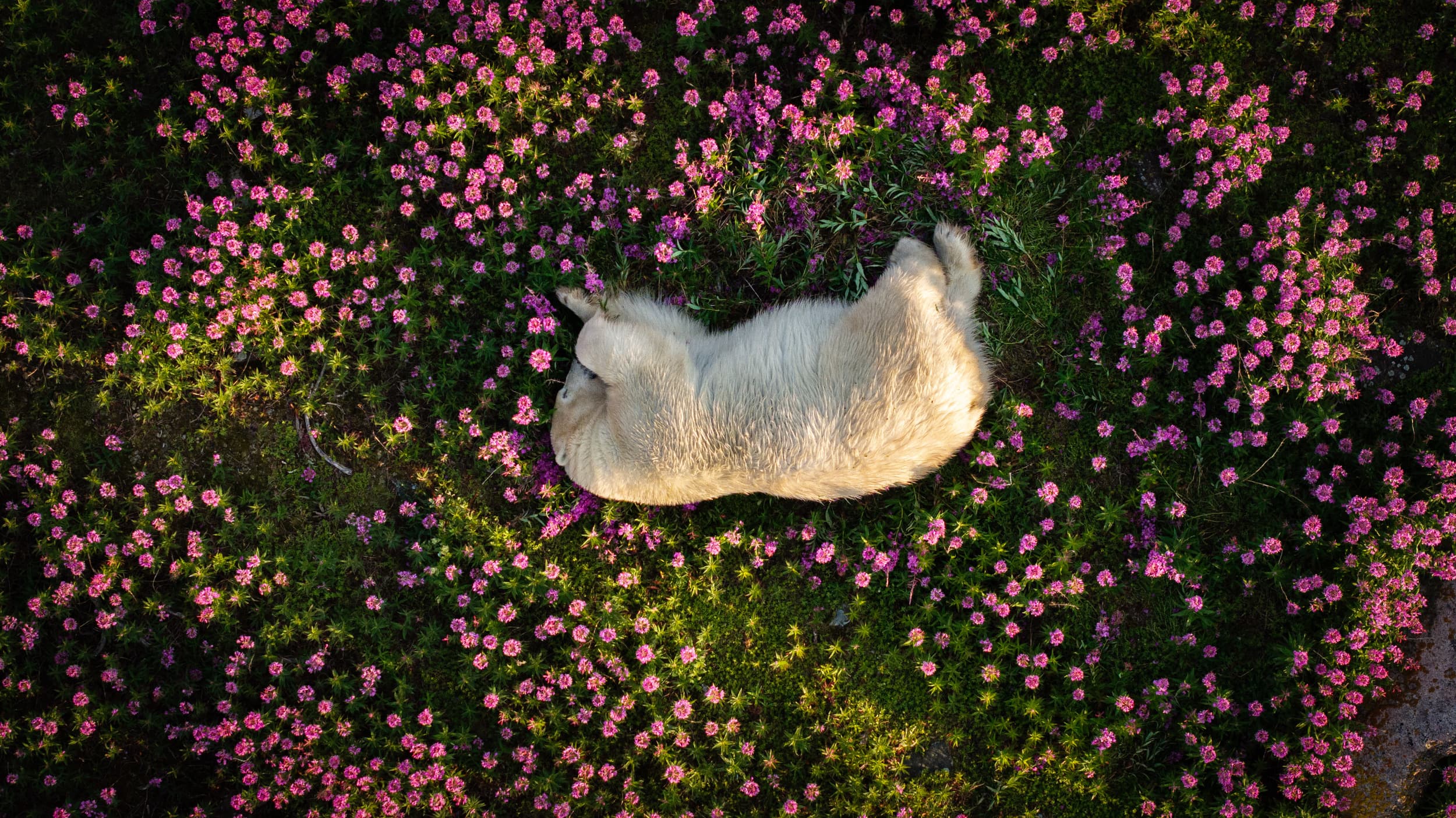 15 breathtaking images from the Nature Photography Awards