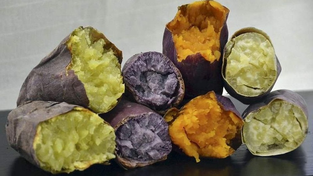 Loại củ “rẻ bèo” ở Việt Nam là bí quyết sống thọ của nhiều người trăm tuổi