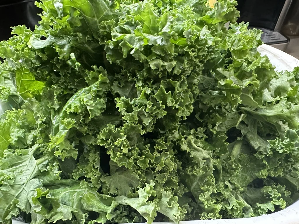 Nên ăn hoa quả trước hay sau bữa ăn? - 2 Nên ăn hoa quả trước hay sau bữa ăn? - 2