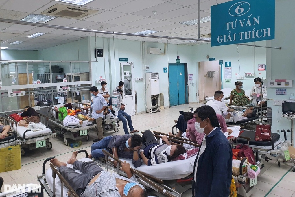 TPHCM: Hai người ngộ độc “ma túy nước biển” sau tiệc rượu, một ca suýt chết