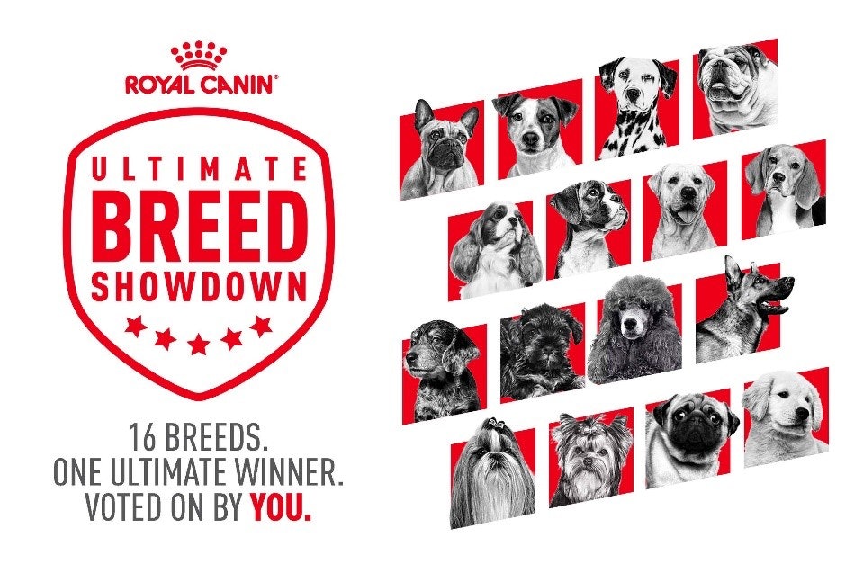 Royal Canin launches Ultimate Breed Showdown to promote breed-specific nutrition