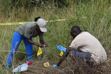 A woman takes a photograph of something on the ground. A man wearing blue gloves crouches on the floor. They are surrounded by grass