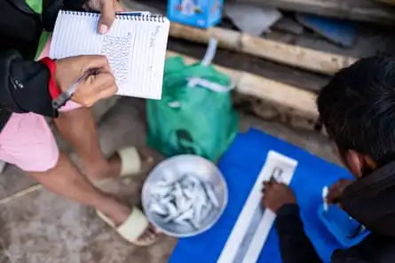 Someone is seen writing in a notebook, a bowl of fish at their feet. Another person appears to be putting a fish in a measuring device