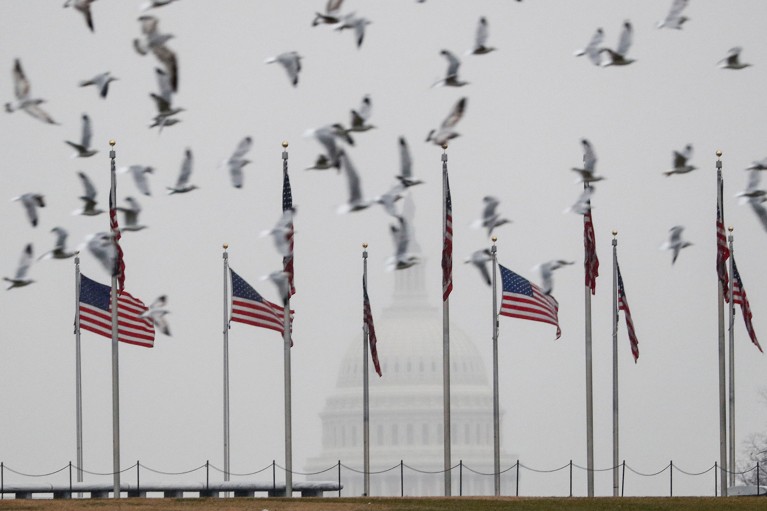 Take Nature’s poll: How will Trump’s policies affect US science?