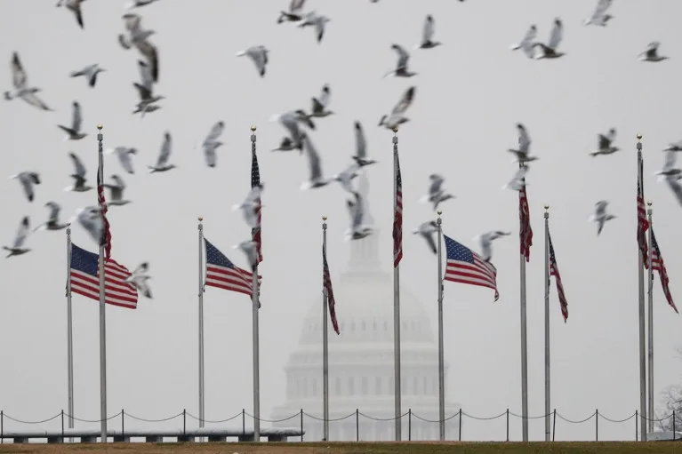 Seagulls fly by American flags across the Washington Monument with the Capitol Building in the background during a snowstorm.