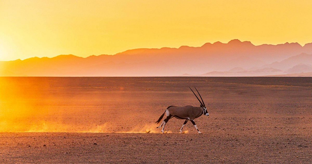 GEF and Enduring Earth: Scaling conservation