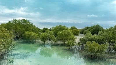 UAE to address critical environmental challenges at IUCN World Conservation Congress 2025