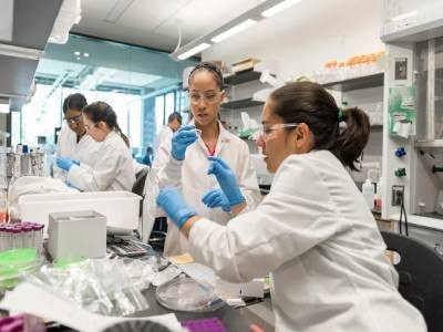 Exclusive: Trump team freezes new NSF awards — and could soon axe hundreds of grants