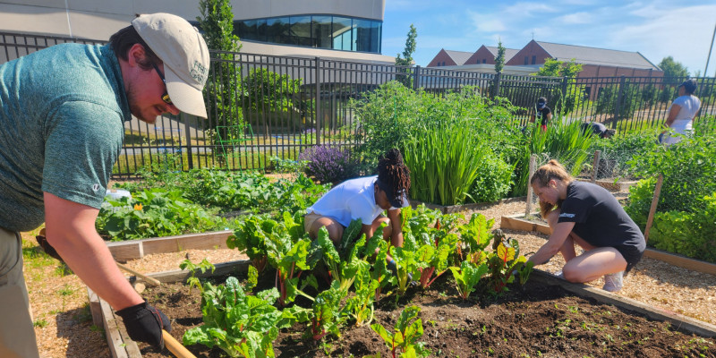 Hershey Entertainment & Resorts Celebrates Earth Day 2025