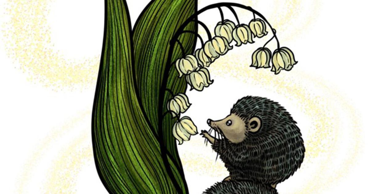 Gallery At FCTV Is Hosting ‘Cape Critters’
