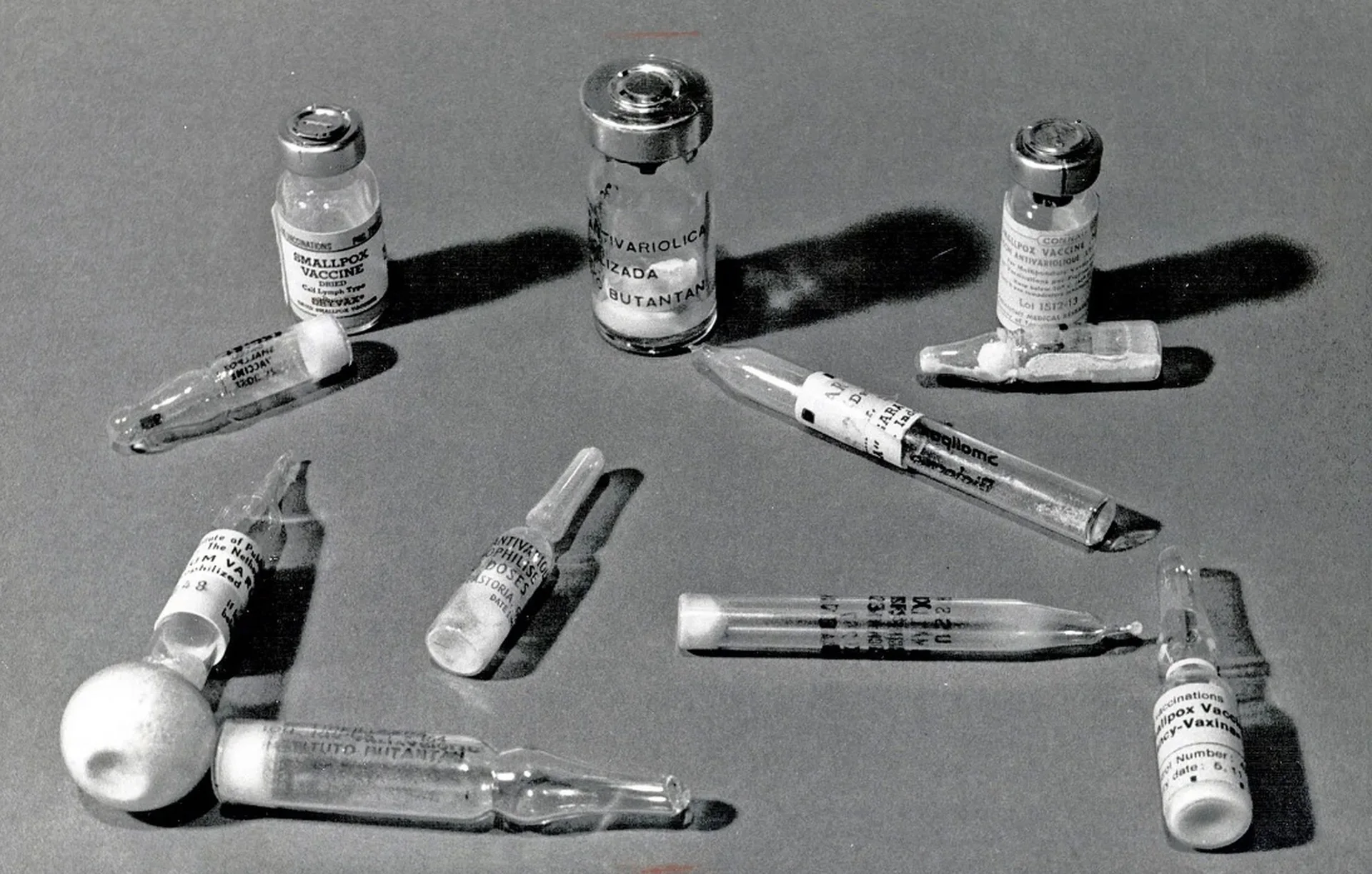 Vaccine made-in Vietnam: Những viên gạch đầu tiên và giấc mơ xuất khẩu - 2