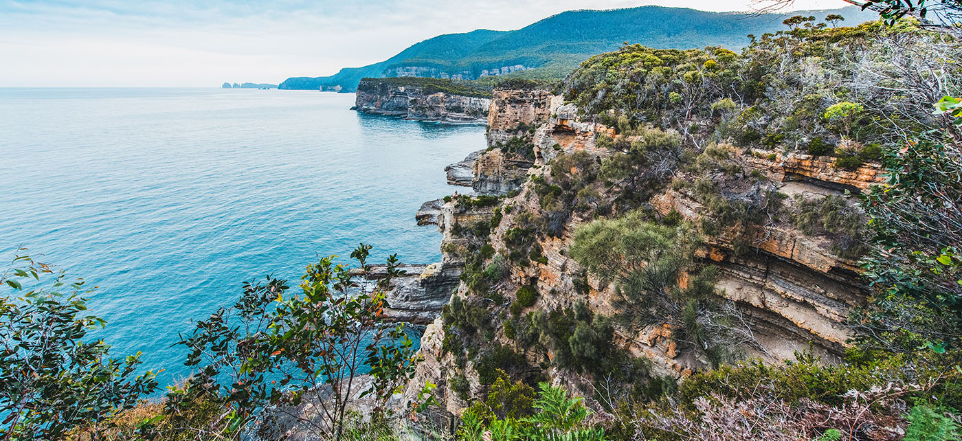 Coalition Backs In Further Practical Environmental Projects To Accelerate Conservation