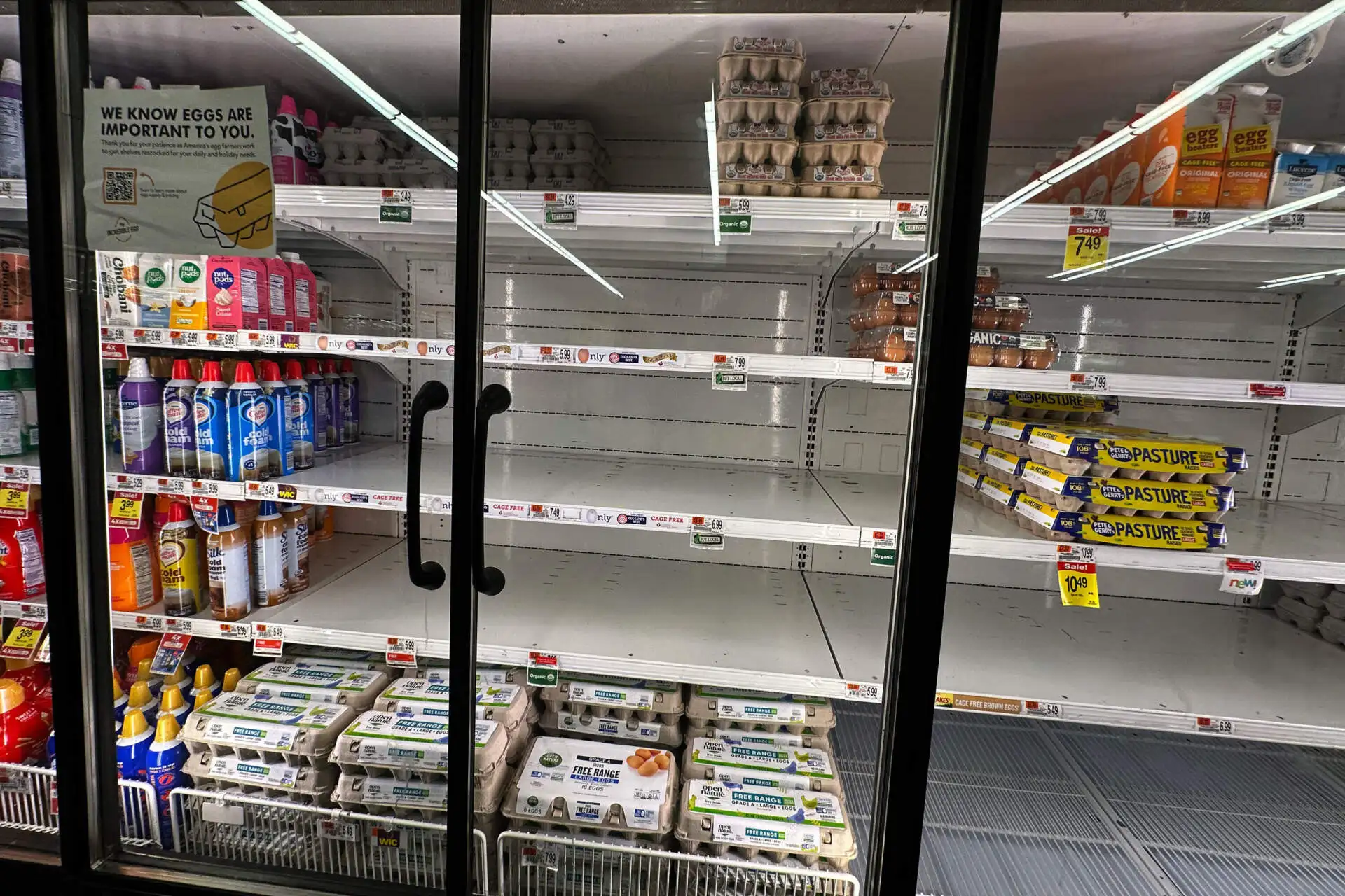 Empty egg shelves at the Star Market in Somerville. (Jesse Costa/WBUR)