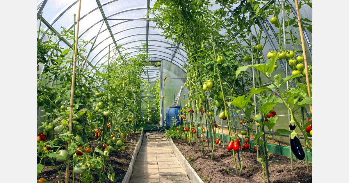 Philippines aiming to enter a new era of healthy eating