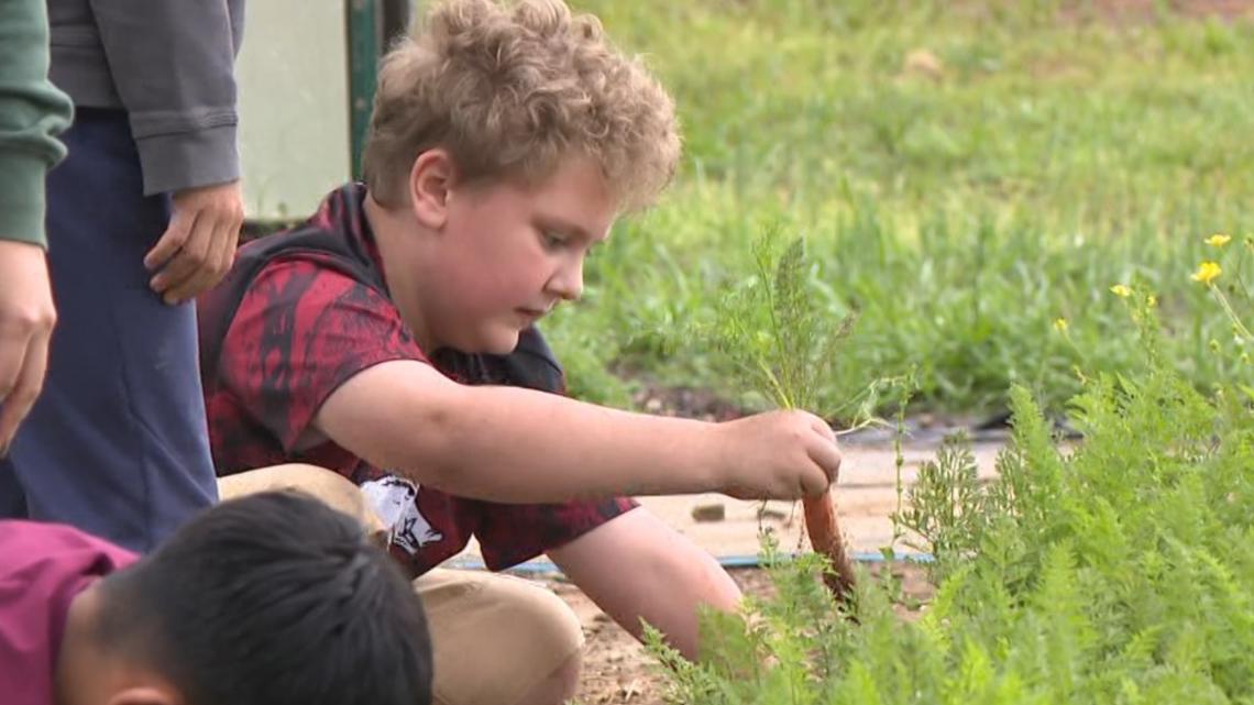 Students dig into farm life and healthy habits at Apple Seed farm field trip