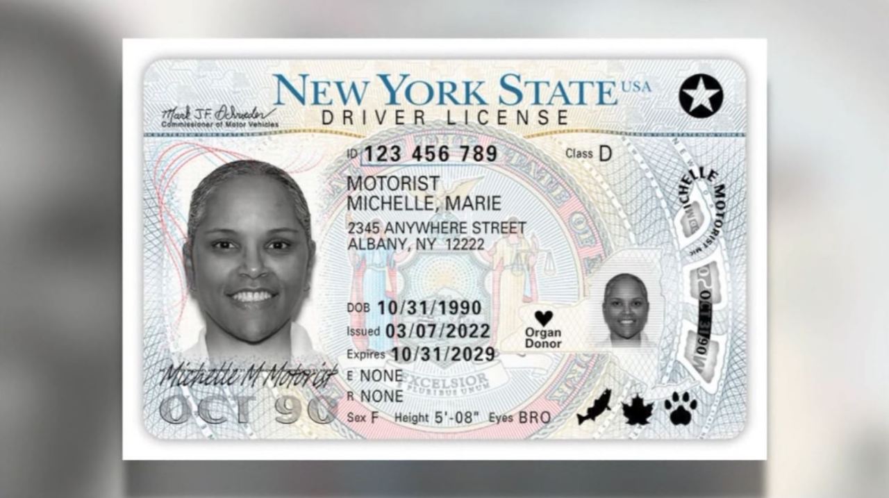 Sign up for a REAL ID at the New York International Auto Show