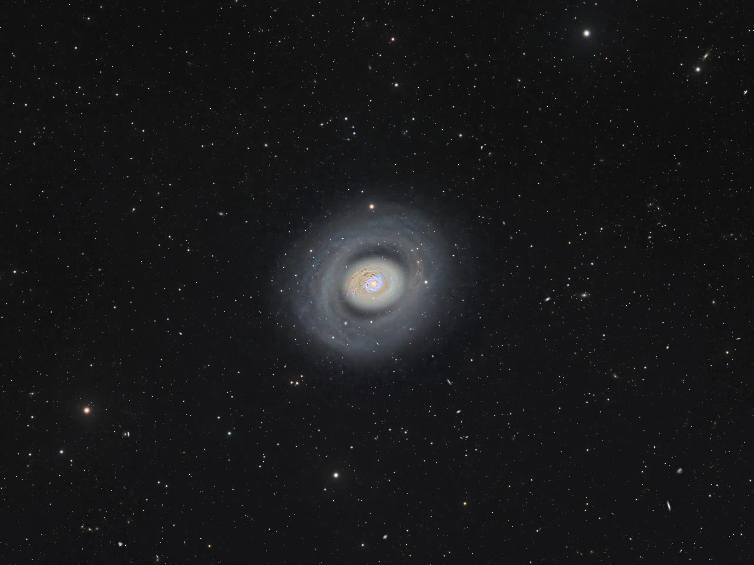 a round spiral galaxy with a bright central point, seen against hundreds of background stars