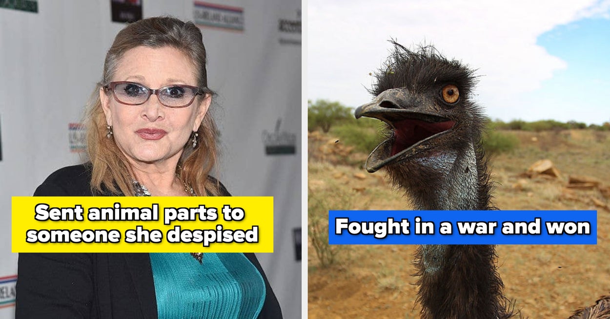 13 Absolutely Random Yet Suuuper Interesting Facts That Sound Ridiculously Fake, But Are 100% True