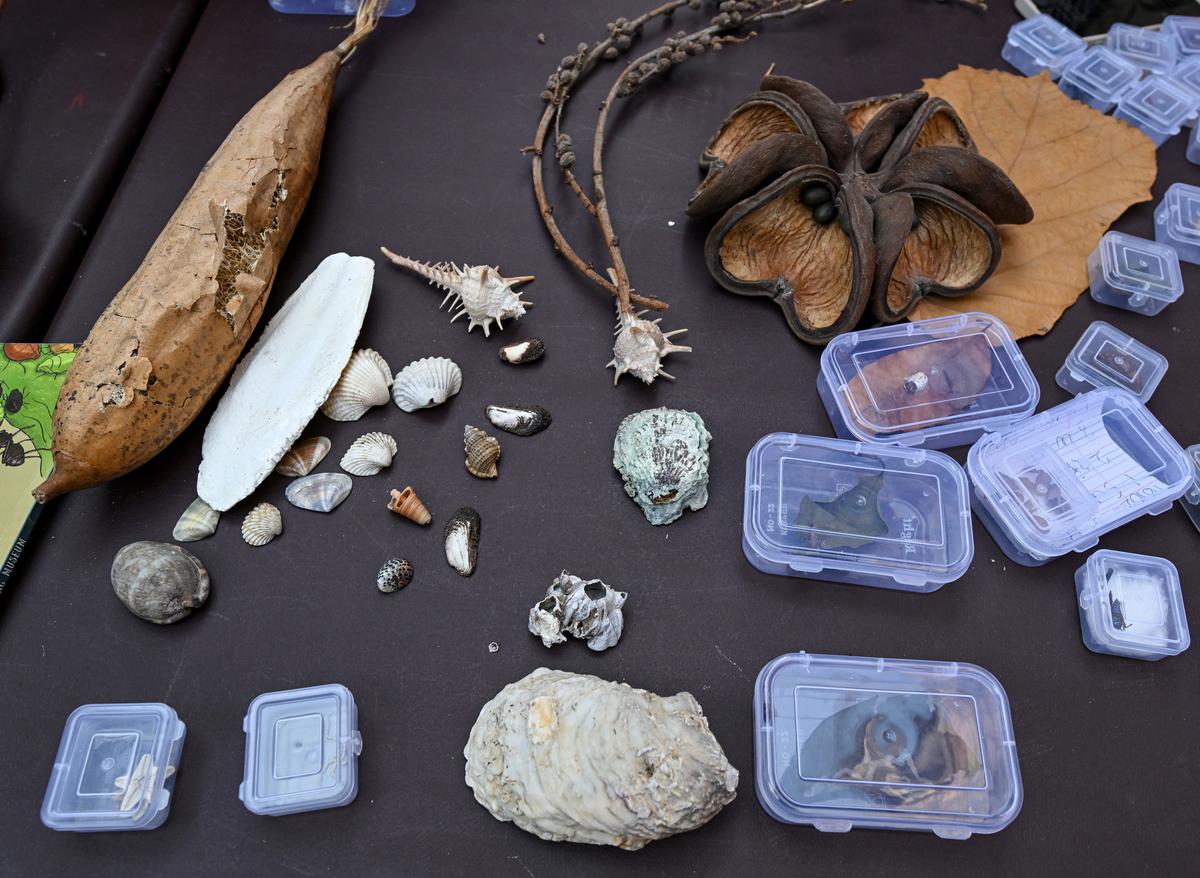Experience the wild up close at this portable Natural History Museum in Visakhapatnam