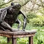 Toad of Crook Hall