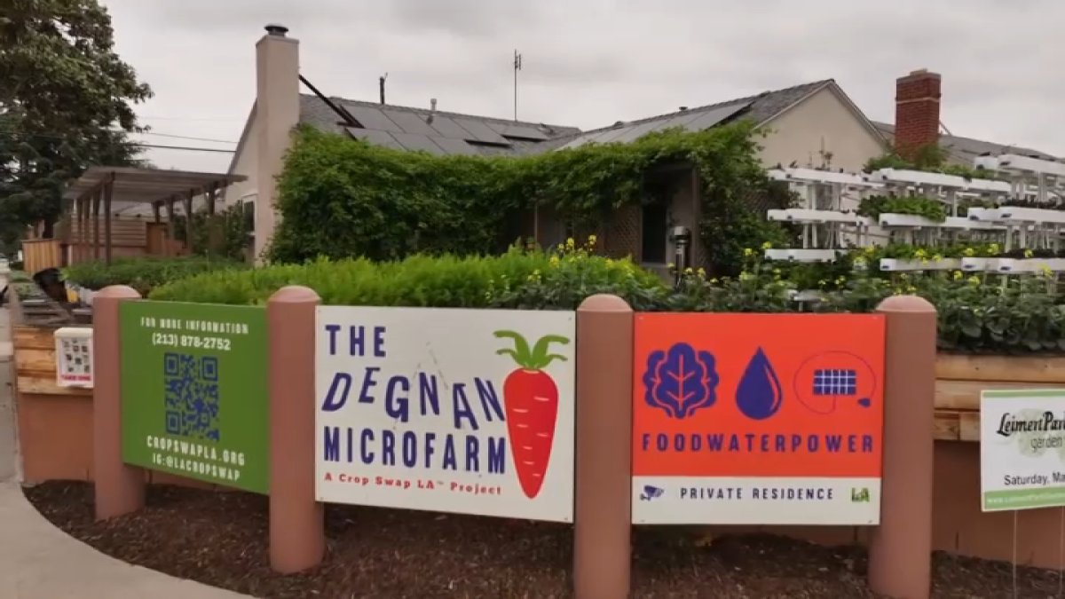 Leimart Park ‘microfarm’ produces healthy option in food desert