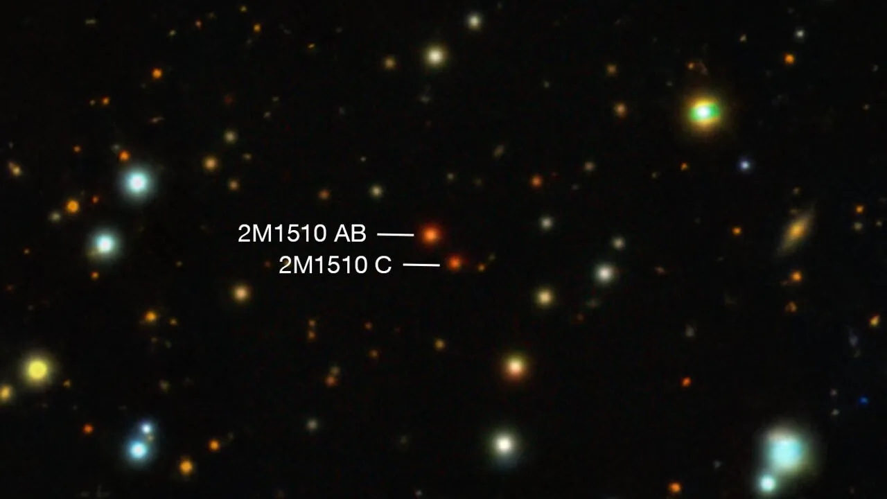many bright, multicolored orbs on a black background