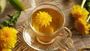 Dandelion tea helps with weight loss: Myth or fact? Dandelion tea helps with weight loss: Myth or fact?