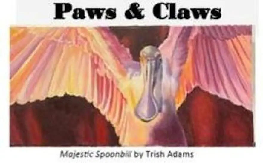 Visual Arts Center Poster for 'Paws & Claws' exhibit