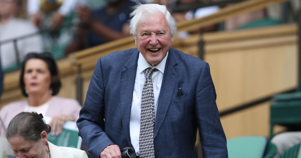 David Attenborough, 98, credits his lasting health and vigour to diet choice