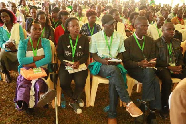COP30: Kenyan youth commit to forest conservation, green economy – EnviroNews – latest environment news, climate change, renewable energy