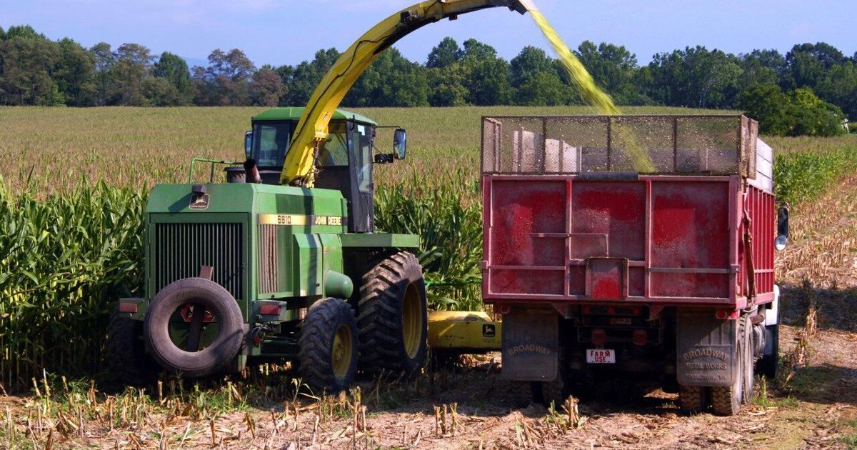 Delaware launches Food is Medicine Committee to link health and nutrition