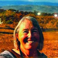 Tin Mountain welcomes artist Sarah Owen Tabor with reception