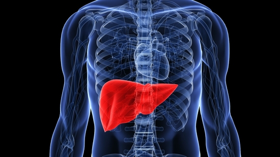 Doctor reveals 7 food combinations that support liver health in various ways: Lime with watermelon to walnuts + almonds