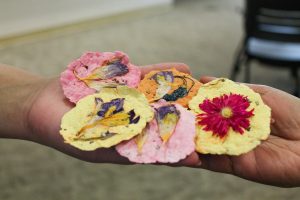 Tranquil gardens, science exhibits connect students with nature