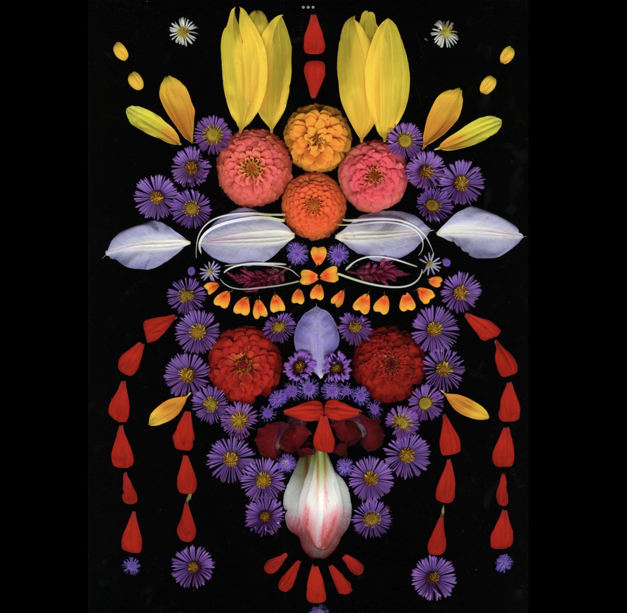 Kaatsbaan Cultural Park presents the 2025 Visual Arts Exhibition Opening